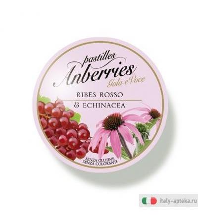 ANBERRIES RIBES RO&ECHINACEA