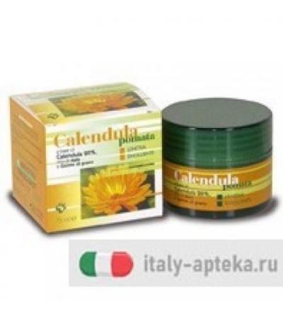 Calendula Pomata 75ml