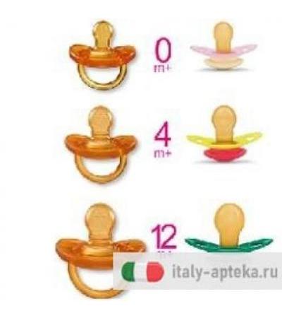 CH SUCCH AZZ 12M+ 2PZ S/A