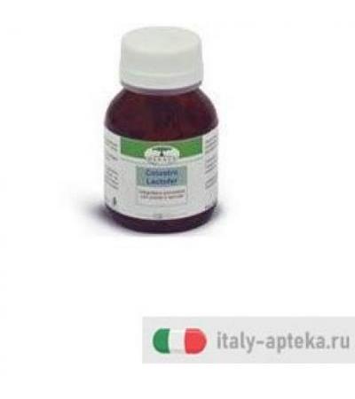 COLOSTRO LACTOFER 60CPS