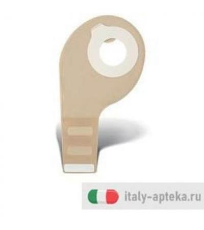 ESTEEM S TRASP AP PIC 10PZ