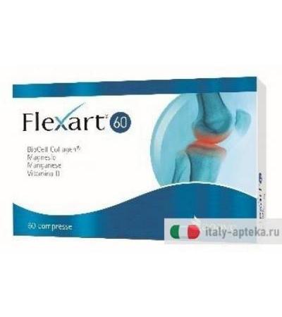 Flexart 60 60 Compresse