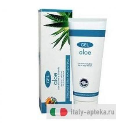 Gel Aloe 100ml