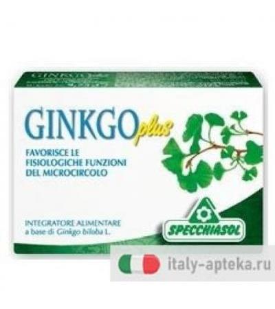 Ginkgo Plus 30Capsule