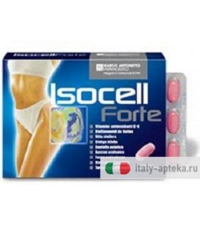 Isocell Forte 40 Compresse
