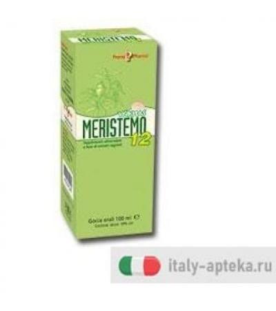 MERISTEMO YNKHAS 12 100ML