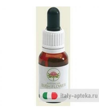 MOUNTAIN DEVIL 15ML GTT