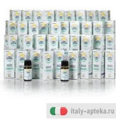 NOMABIT HONEY SUCKLE GTT 10ML