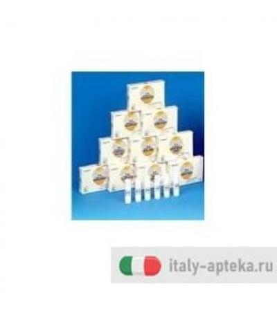 NOMABIT HORNBEAM GL 6G