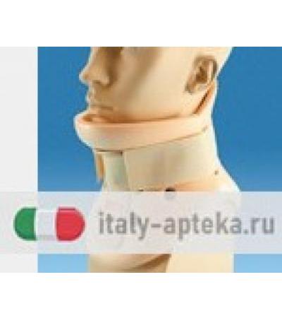 PHILADELPHIA COLLARE CERV M