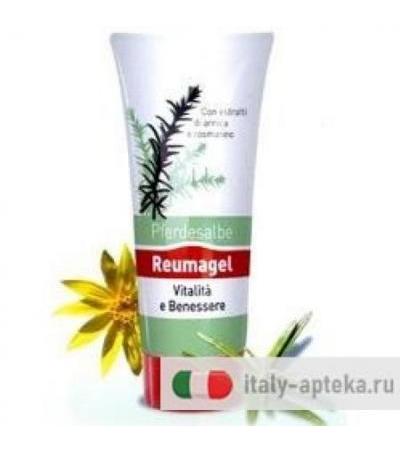 RECOVER GEL PFERDESALBE 200ML