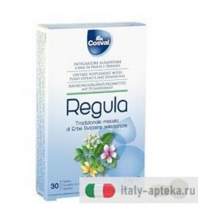 REGULA MISC ERBE SVIZZ 30TAV