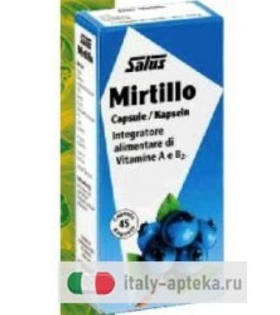 Saluvision Mirtillo 45 Capsule