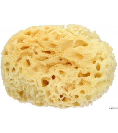 Spugna Naturale Mare Media