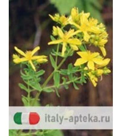 TSA Hipericum Perforatum 50ml