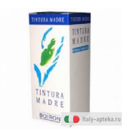 Uva ursina tintura madre 60ml
