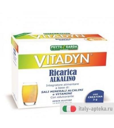 Vitadyn Ricarica 14 Buste 7g