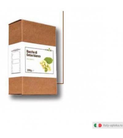 bacche di gelso bianco