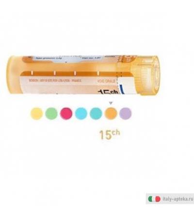 calcarea phosph 15ch gr