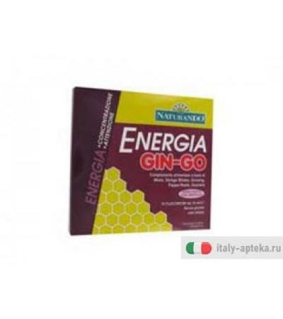 energia gin-go integratore alimentare a base di pappa reale, ginseng, ginkgo biloba,