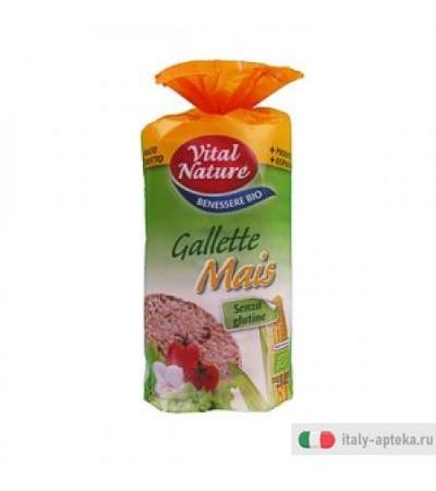 gallette di mais mais