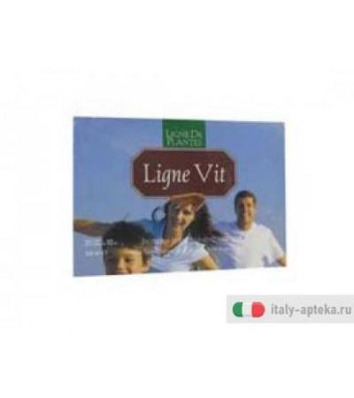 ligne vit indicazioni