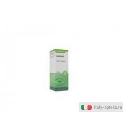 oli essenziali naturali e puri al 100%