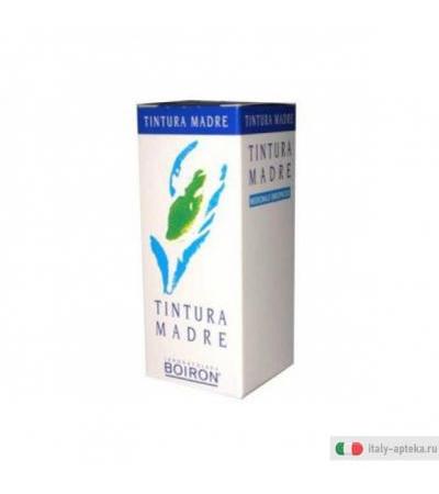 propolis 60 millilitri tm