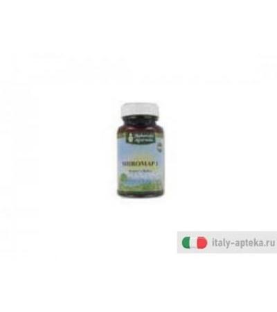 shiromap 1 integratore alimentare a base di piante e derivati che, secondo la tradizione ayurvedica,