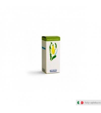 tilia tomentosa gemme 60 millilitri milligrammi