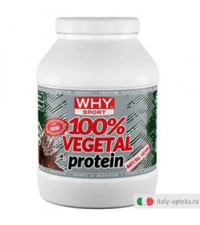 100% Vegetal Protein Cacao750g