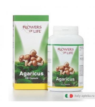 Agaricus Blazei 100cps Flowers