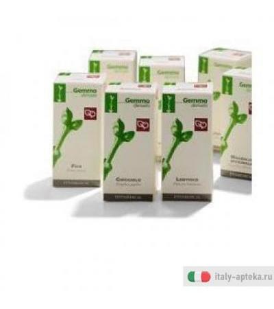 Albero Giuda 50ml Mg
