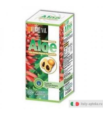 Aloe Arborescens C/papaya Ferm