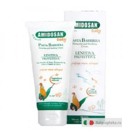 Amidosan Pas Zn 100ml Tubo