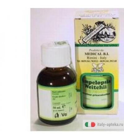 Ampelopsis Wei Dr Pock Glic50m