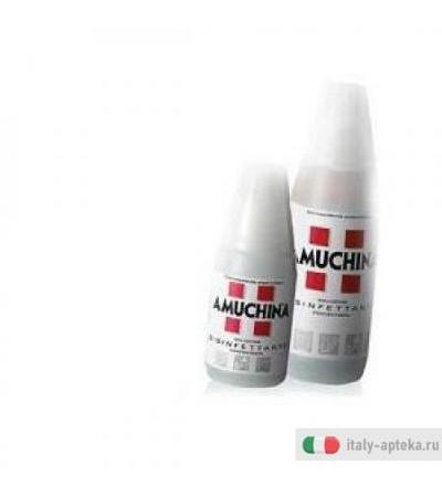 Amuchina 500ml