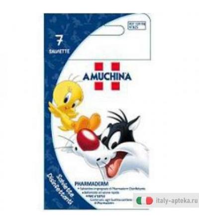 Amuchina Salv Disinf