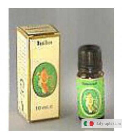 Arancio Dolce Olio Ess 100ml