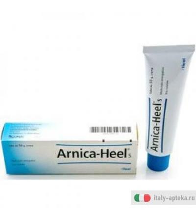 Arnica Salbe Pom 50g Heel