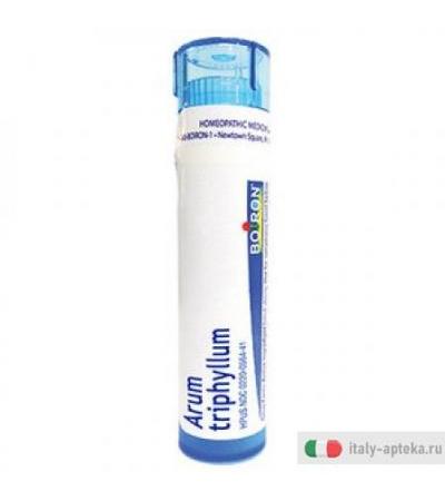 Arum Triphyllum 7ch Gr