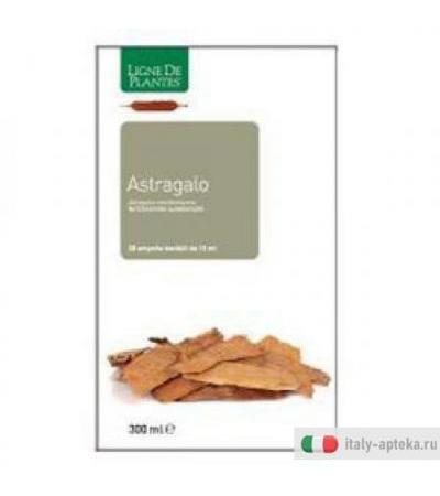 Astragalo Bio 20ab 15ml