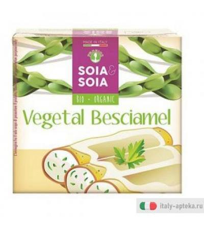 Besciamella Soia Vegetale500ml