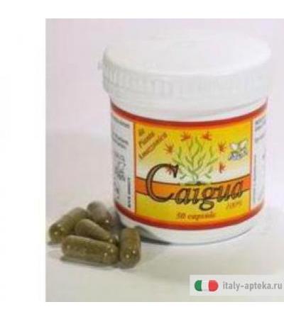 Caigua Dr Pock 50cps 22,5g