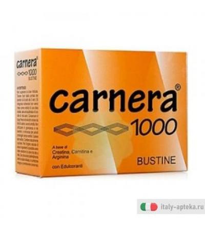Carnera 1000 18bust