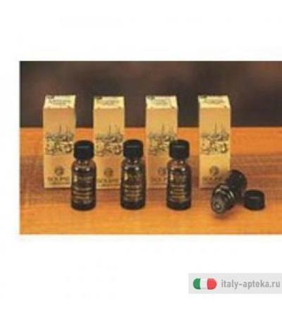 Carvi Olio Ess 10ml