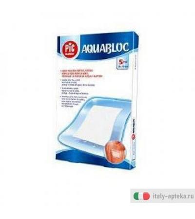 Cer Aquabloc Ster 10x8cm 5pz