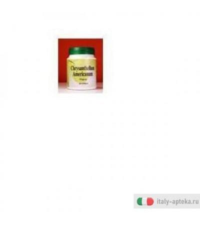 Chrysant Americanum 60cps