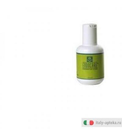 Endocare Loz Rigen 100ml
