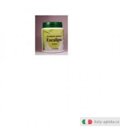 Eucalipto 60cps
